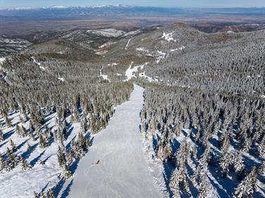 Image for: Tony Forrest 1 Day Lesson